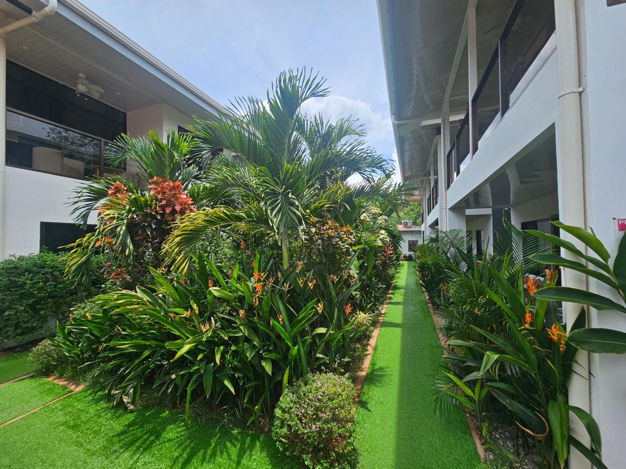 Ballena Rey Hotel 乌维塔 外观 照片